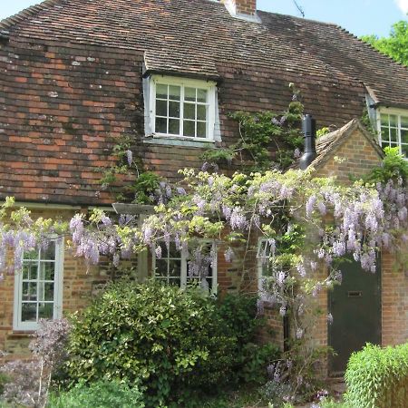 Tilford Mill Cottage Фарнем Экстерьер фото